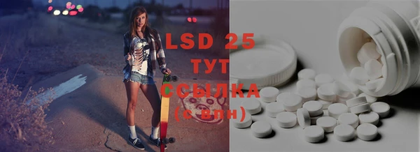 mix Инта