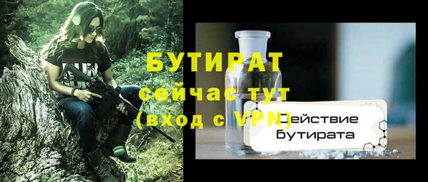 mix Инта