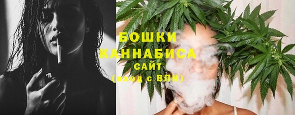 mix Инта