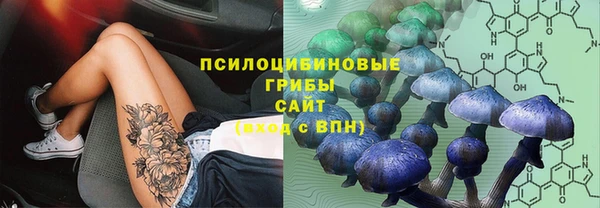 mix Инта