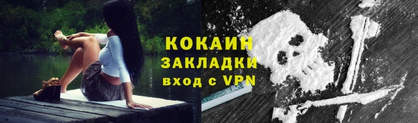 mix Инта