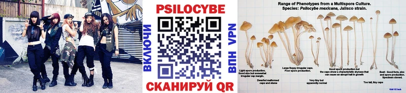 Купить  Мураши  Галлюциногенные грибы мухоморы 